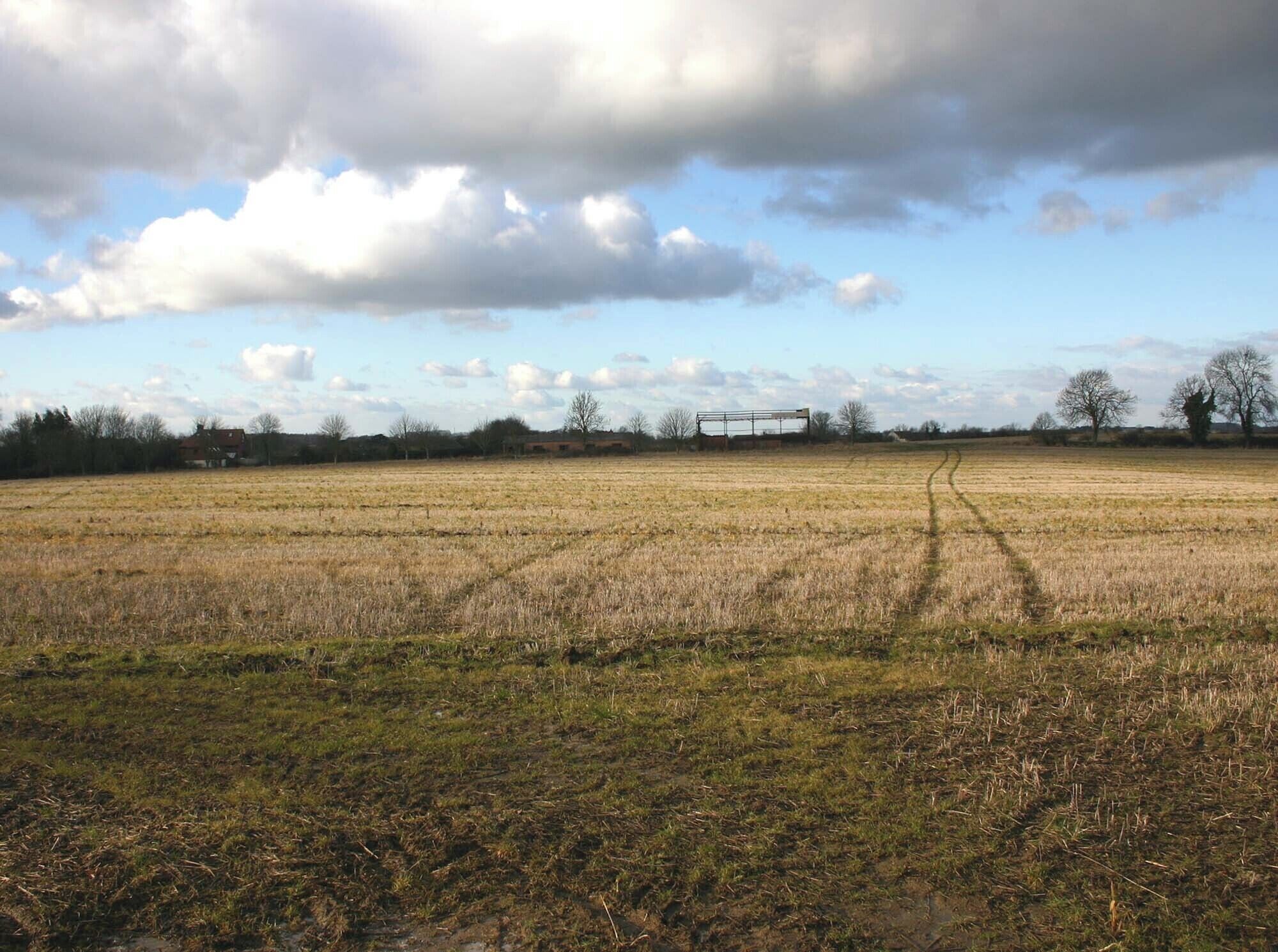 A rural landscape with a field, a few trees, and a distant building.
