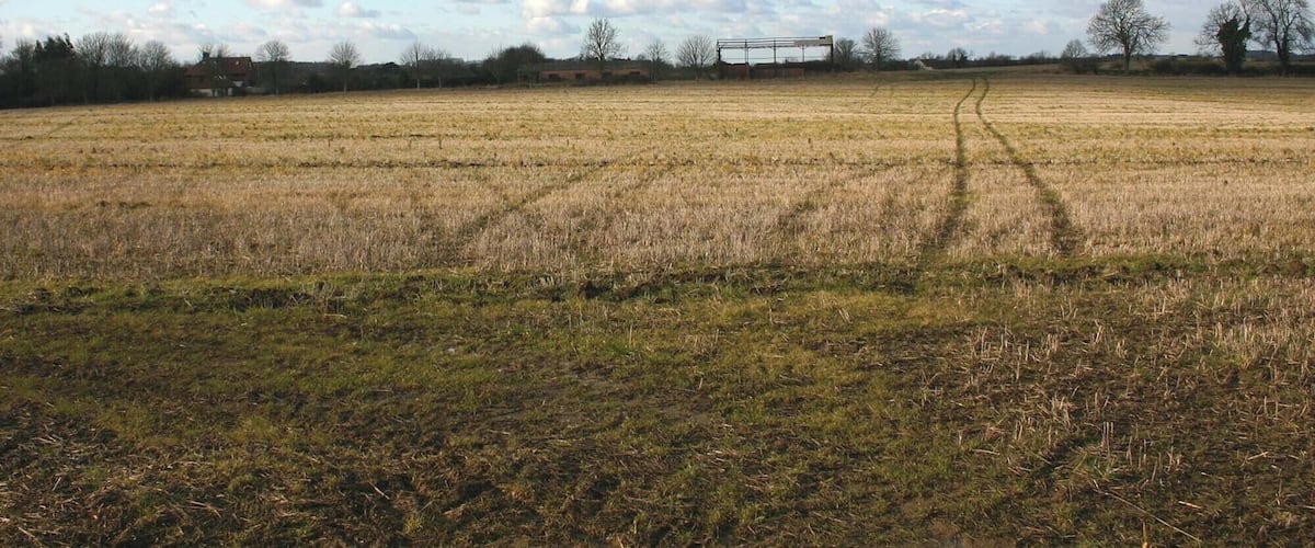 A rural landscape with a field, a few trees, and a distant building.