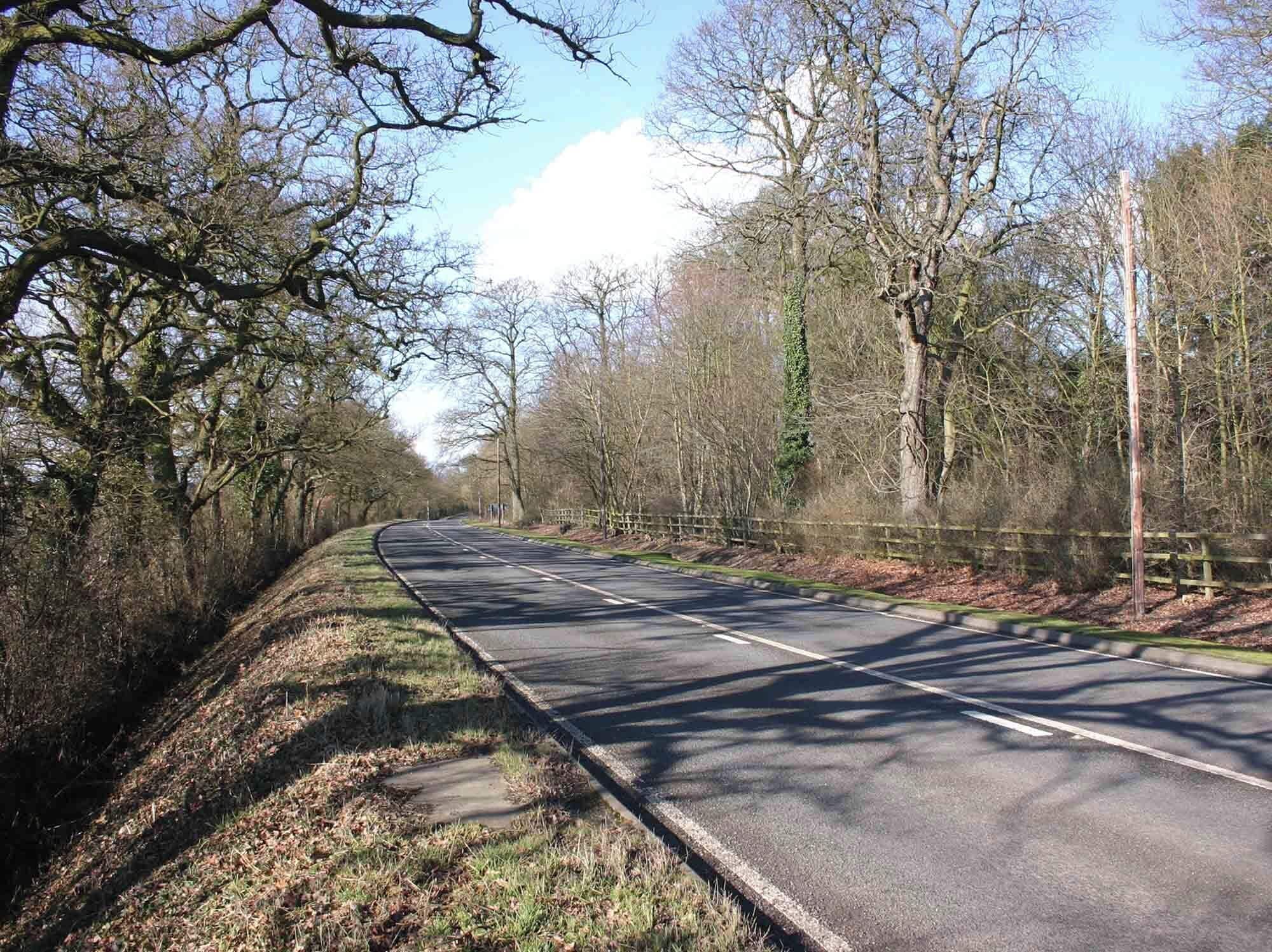 The Belt alongside the A422 Looking NW along the A422 with the strip of woodland called The Belt on the far side.