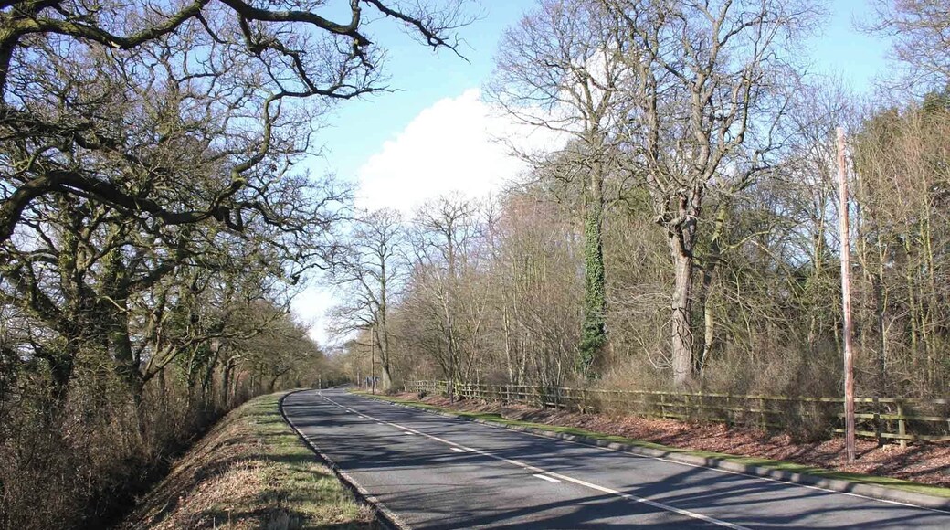 The Belt alongside the A422 Looking NW along the A422 with the strip of woodland called The Belt on the far side.