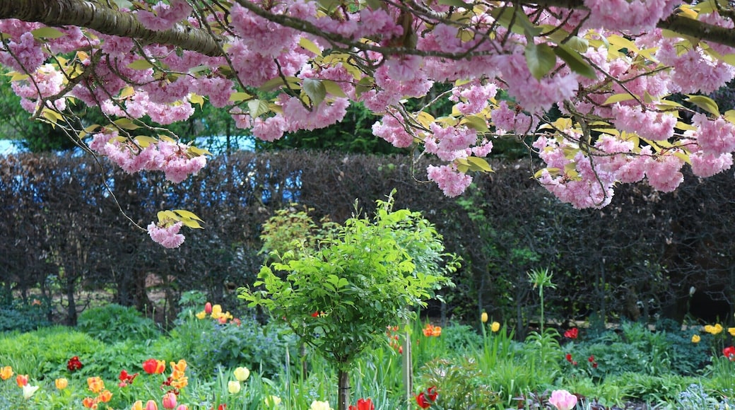 Beautiful gardens at the home of Shakespeare's daughter, just minutes away from Shakespeare's grave in Stratford Upon Avon #SpringFun