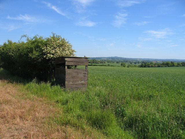 A wooden structure in a field with a tree nearby.