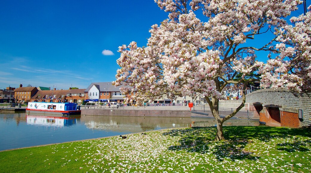 Stratford-upon-Avon showing a park, boating and a river or creek