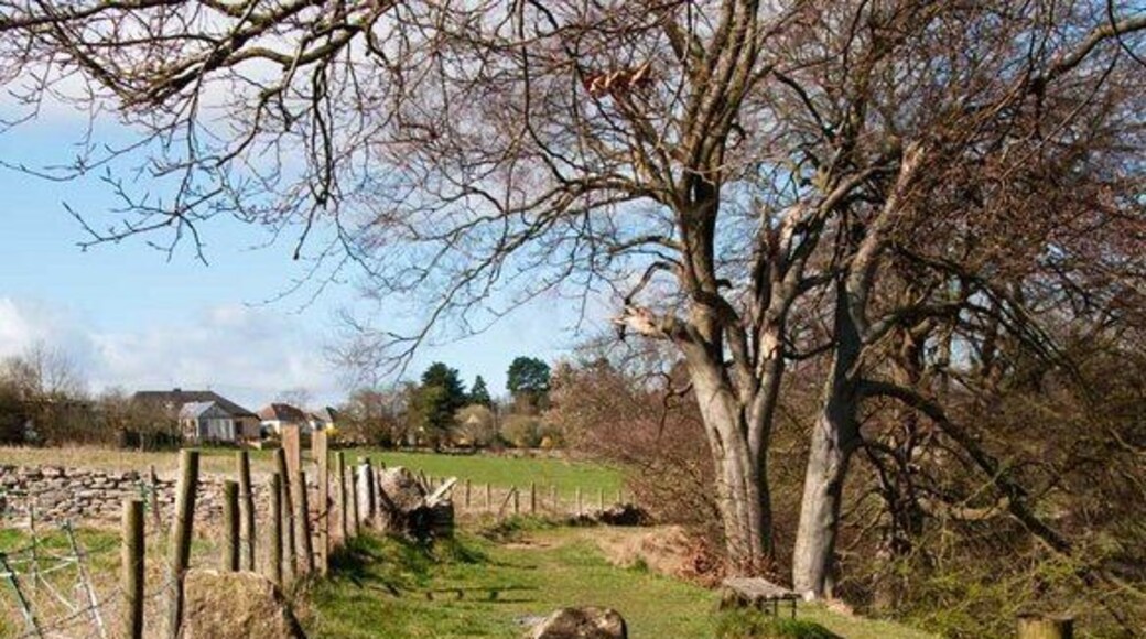Besbury Common A view of the footpath along Besbury Common