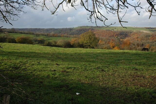 View over the Woodchester Park View from above Forest Green over the wooded valley of Woodchester Park.