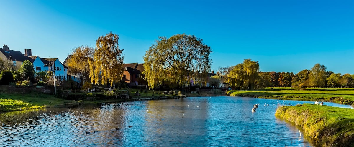 A river with ducks, houses, and trees.