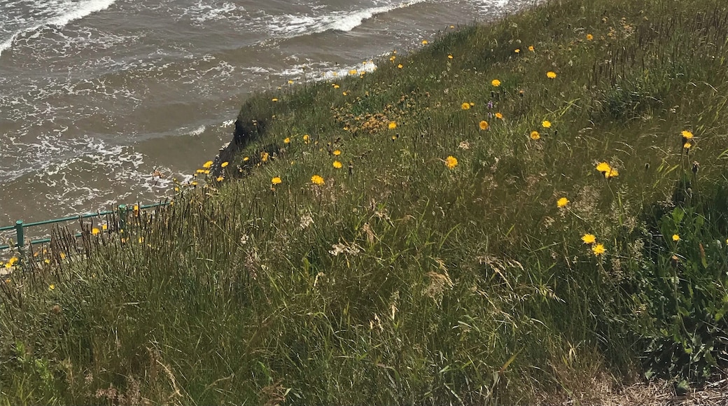 Beautiful walk from Seaburn to Roker you will find this view. Take a coffee on the promenade and listen to the waves from the North Sea crashing in