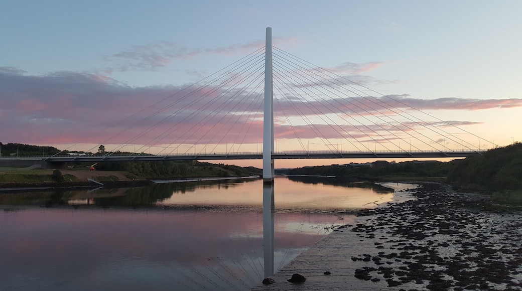 So many people take things for granted me being one of them. I cross this bridge almost daily, but rarely go down to the river and stop to just take it all in. Its a gorgeous place to capture sunsets aswell as the wildlife that live alongside the river Wear. Picturesque! No need for filters when you get sunsets like these. 💜#sunsets ##picturesque #northernspirebridge #Sunderland #stopandtakeitallin.