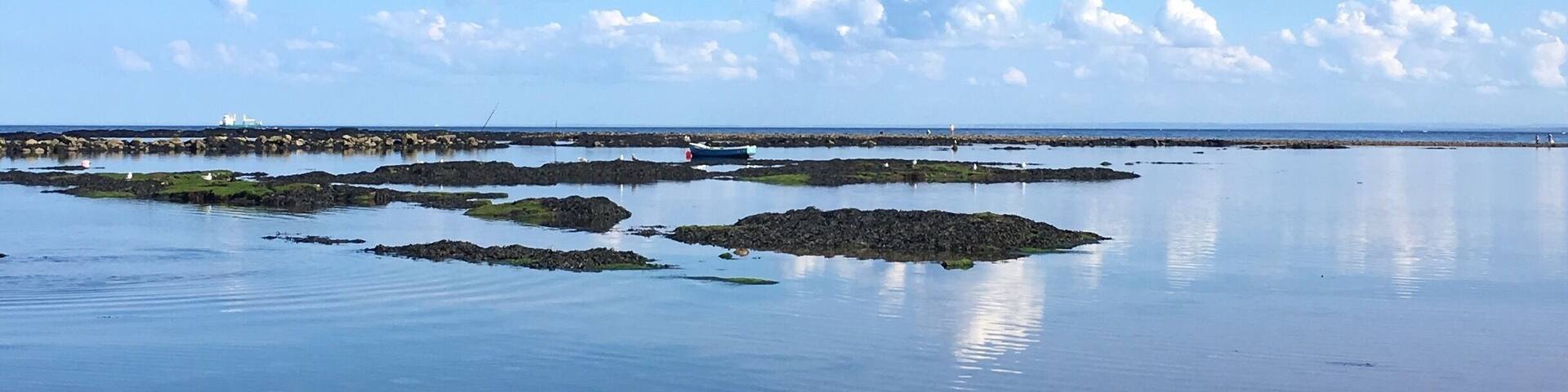 A calm coastal landscape with rocky outcrops and a clear sky.