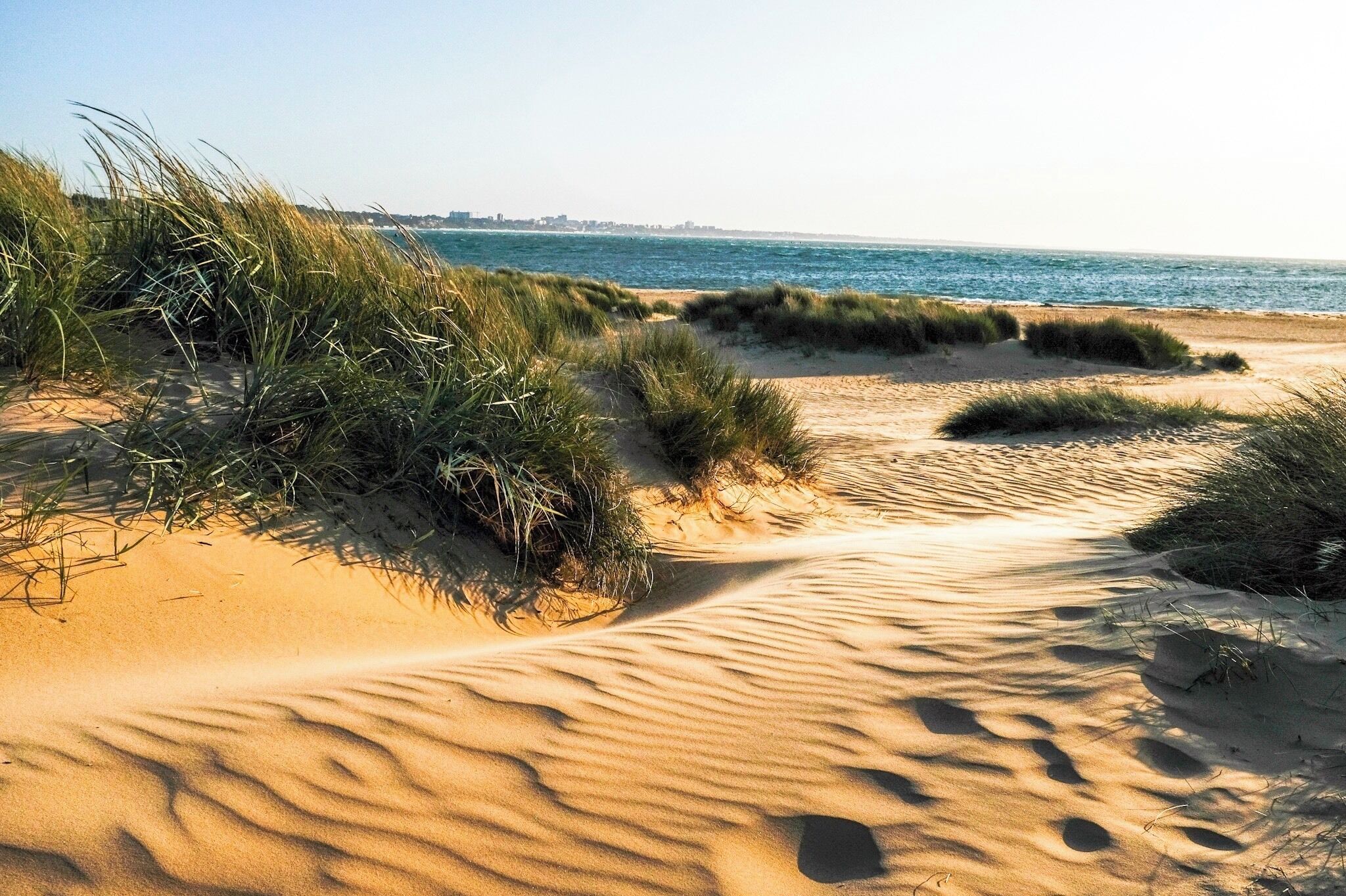 Near the start of the SW Coast path
