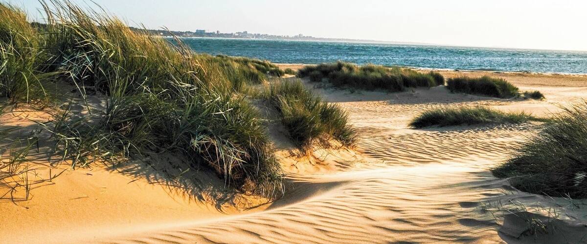 Near the start of the SW Coast path