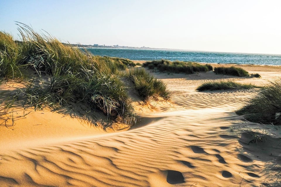 A sandy beach with dunes and grass.