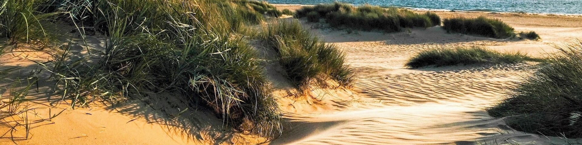 Near the start of the SW Coast path