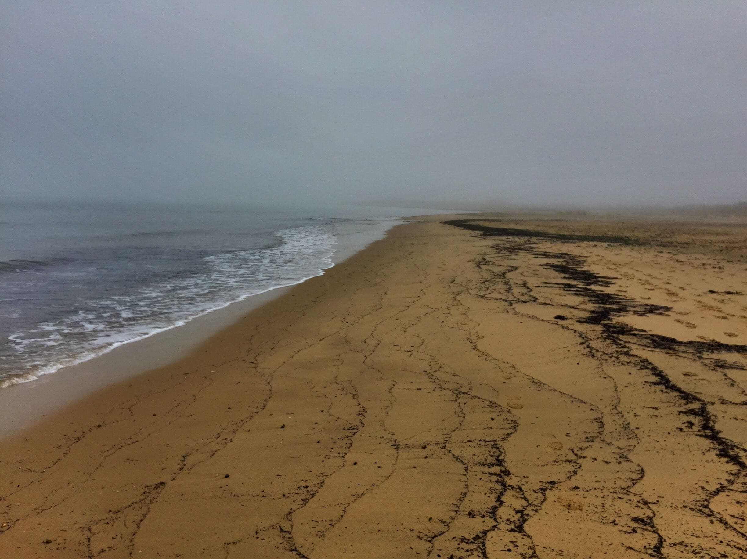 A very long sandy beach. If you keep walking it turns into a nude beach. 