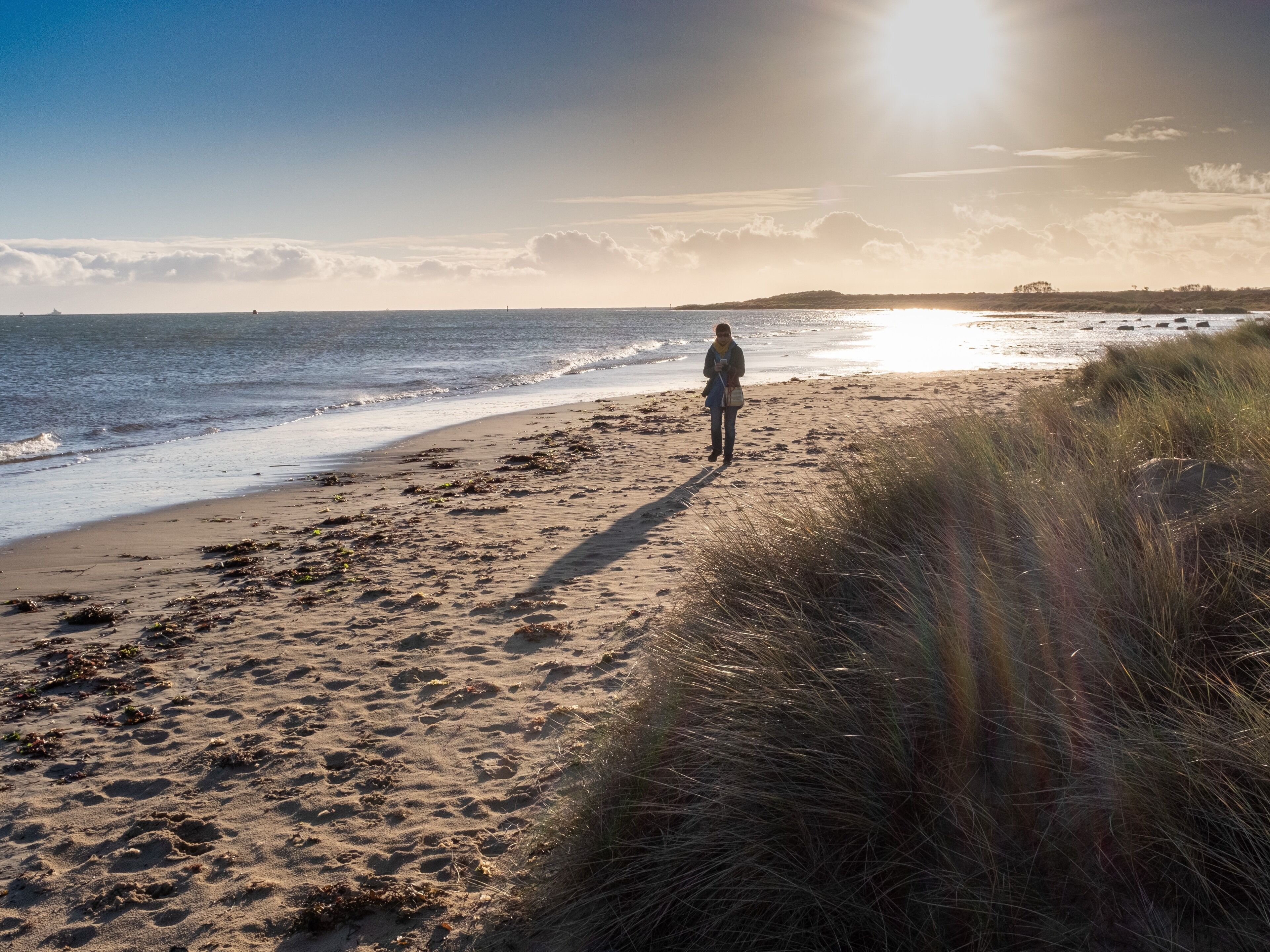 Dog walk at shell bay.