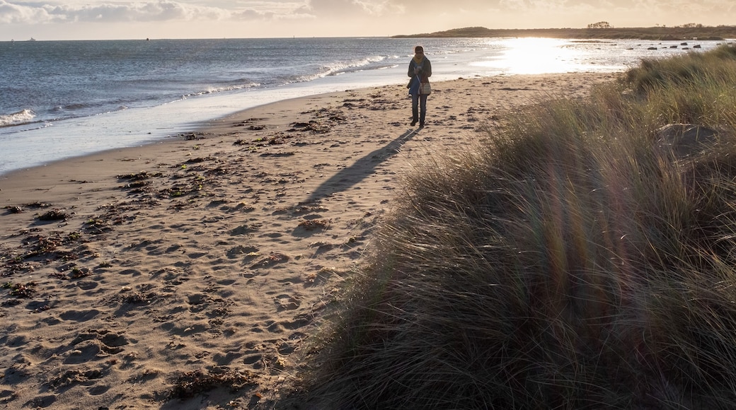 Dog walk at shell bay.