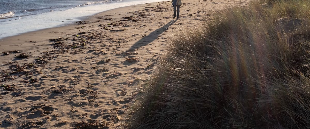 Dog walk at shell bay.