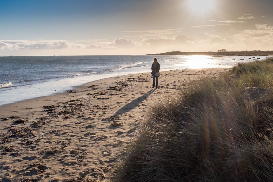 A beach with a person walking along the shore, waves crashing onto the sand, and a distant shoreline with vegetation.