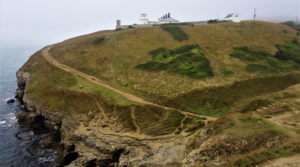 Really nice viewpoint from this lighthouse.
#LifeatExpedia
#StunningStructure