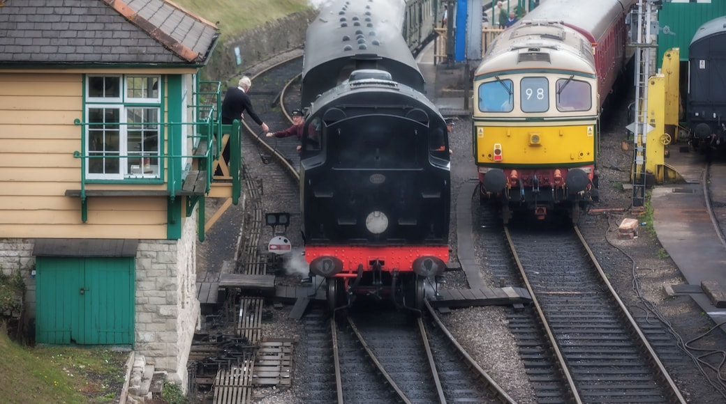 Handing over the token at Swanage railway station.
The token is a physical object, that the driver must be in posession of, to gain access to a section of track,between two points. This is a safety measure,dating back to the birth of the railways,to avoid collisions on a single line.
#Culture