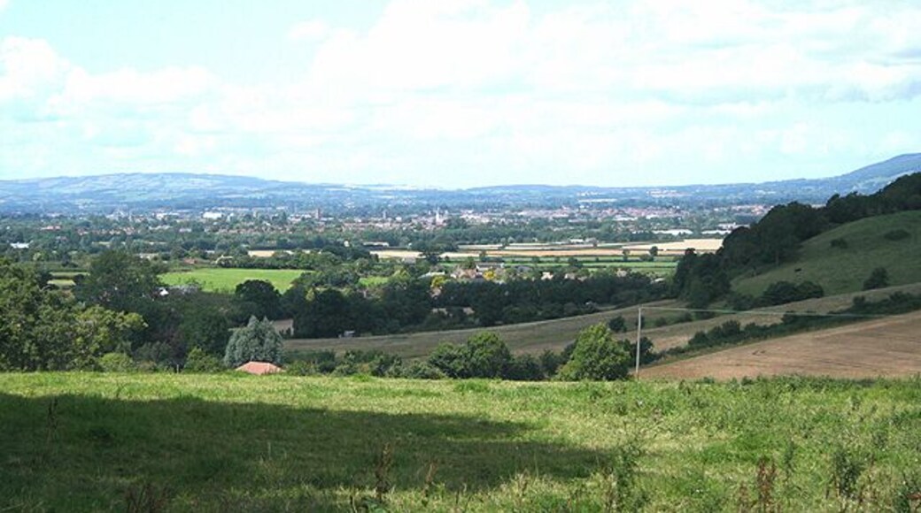 Stoke St Mary: on Stoke Hill View west-north-west towards Taunton. The hill on the right, in shadow, is Stoke Wood