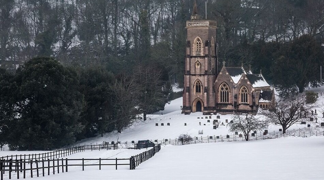 The snow covered land at St Audries in Somerset
