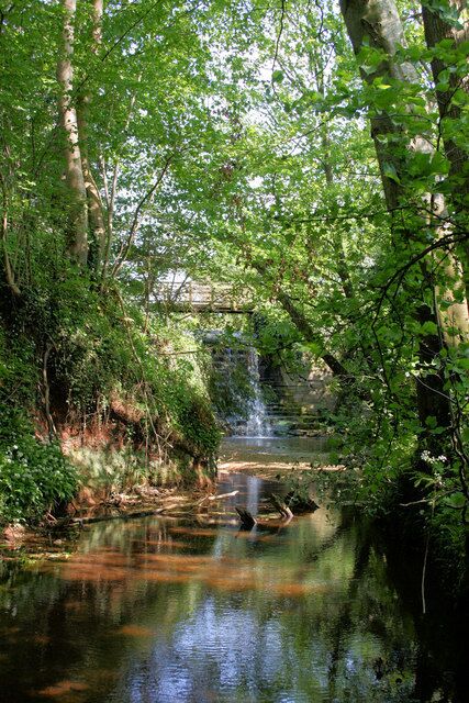 Waterfall and stream - Trull The waterfall was originally constructed to make a mill stream to the mill in the village.