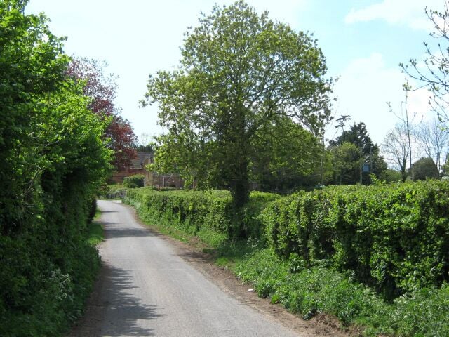 Lane in Henlade, Somerset