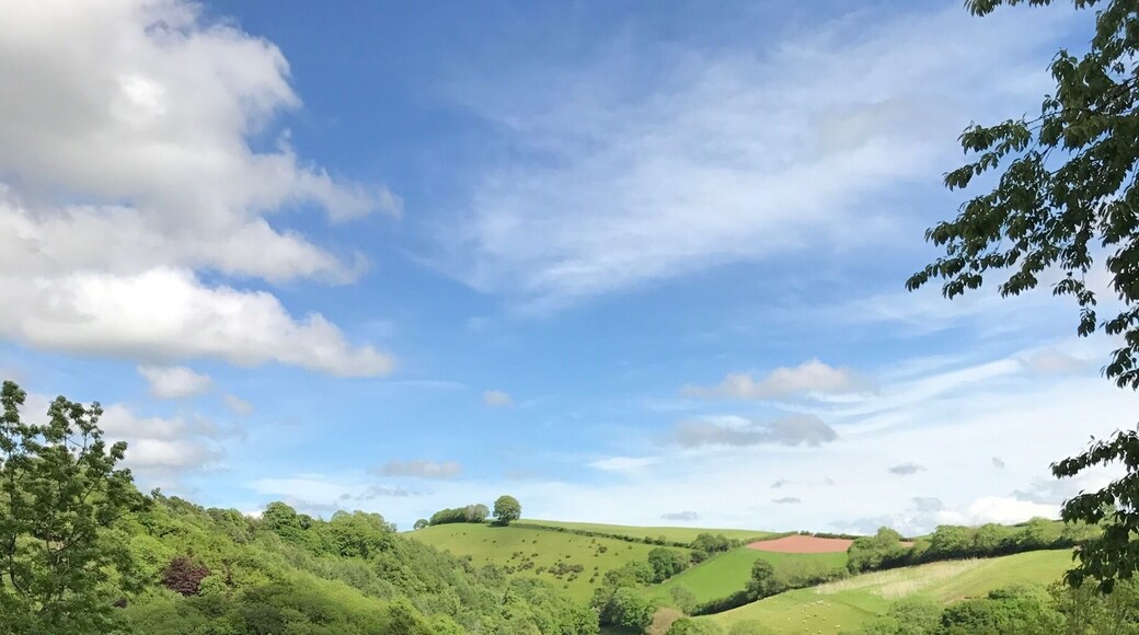 Not a bad view for a village fete with a cream tea.