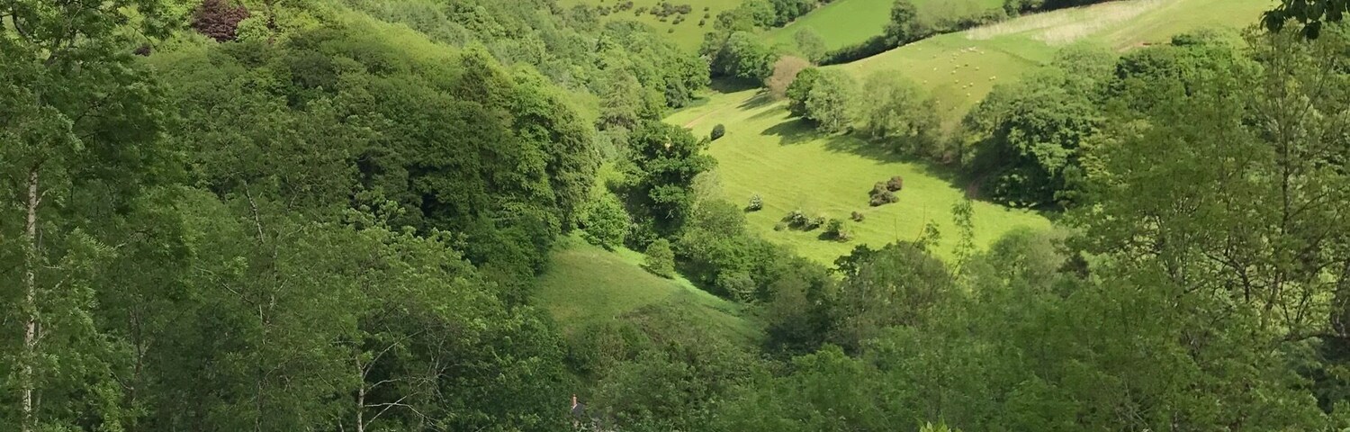 Not a bad view for a village fete with a cream tea.
