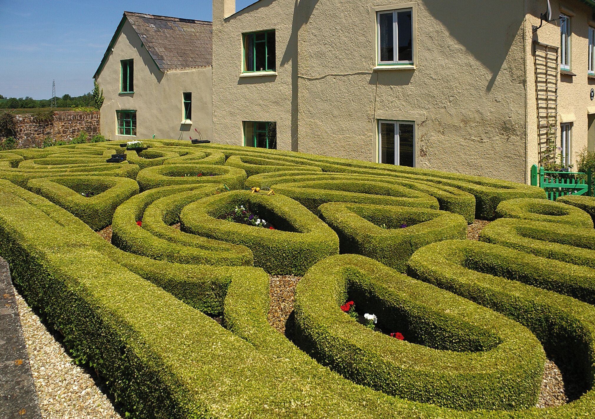 A hedge maze with a building in the background.