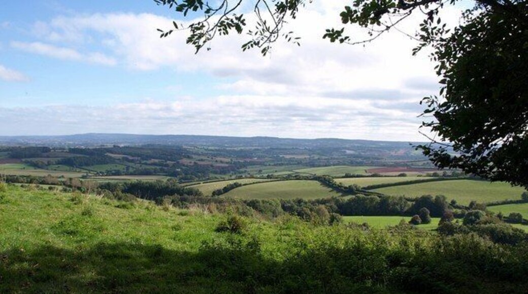 Countryside near Hellings Farm. A view from 1521078. Down below the crest of the hill, the line of trees beyond the bright green field right of centre marks the line of Bathealton tunnel and the course of the railway line emerging from it to the east (left). Climbing the hill beyond and leaving the square is Road Hill.