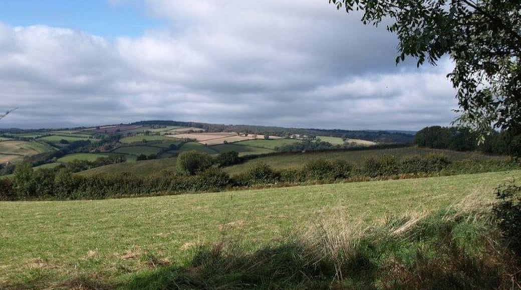 Field beside Summer Cleave Lane. Looking northwest from a gateway on 1521031, with the valley containing 1521025 invisible between the hedge and the fields beyond. Withycombe Farm, right of centre in the distance on the far side of the Tone valley, is in ST0527.