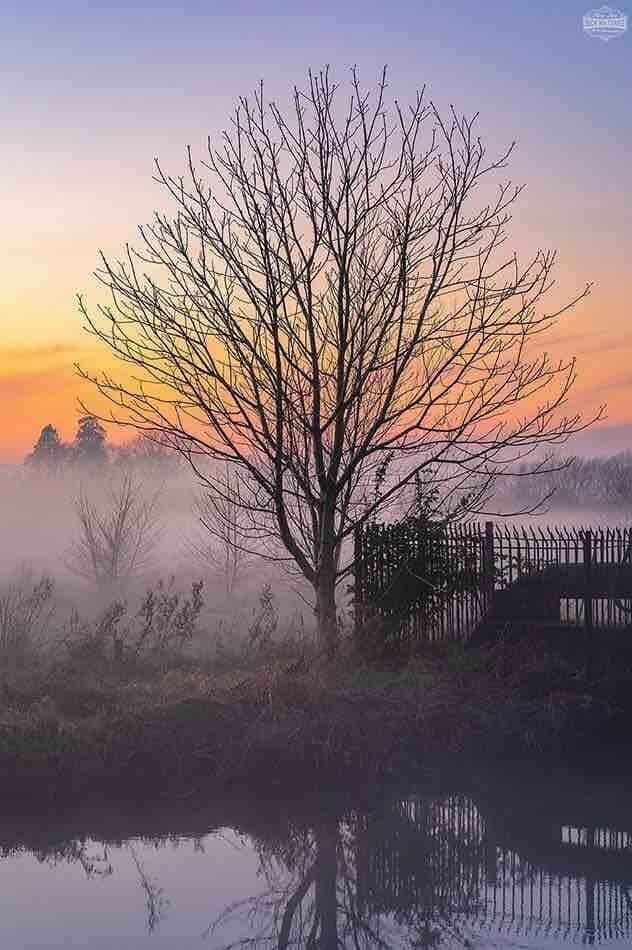 As the mist sets in at Frenchweir in Taunton
