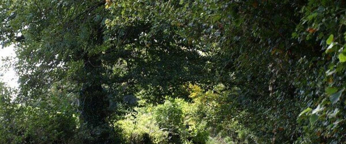Summer Cleave Lane A byway seen near its commencement at Waldridge Cross, and which skirts a hill (on the left) crowned by a trig point at 280 metres. The byway leads to Hellings Farm.