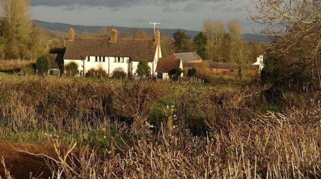 Knight's Cottages, Fitzhead Farm cottages on the western fringe of the village, seen from footpath WG 5/1. Behind to the right is Knight's Farm.