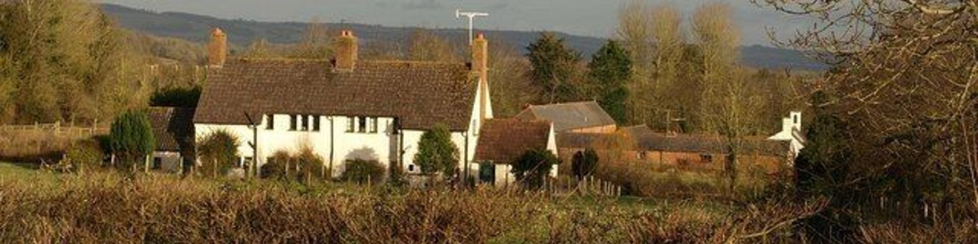 Knight's Cottages, Fitzhead Farm cottages on the western fringe of the village, seen from footpath WG 5/1. Behind to the right is Knight's Farm.