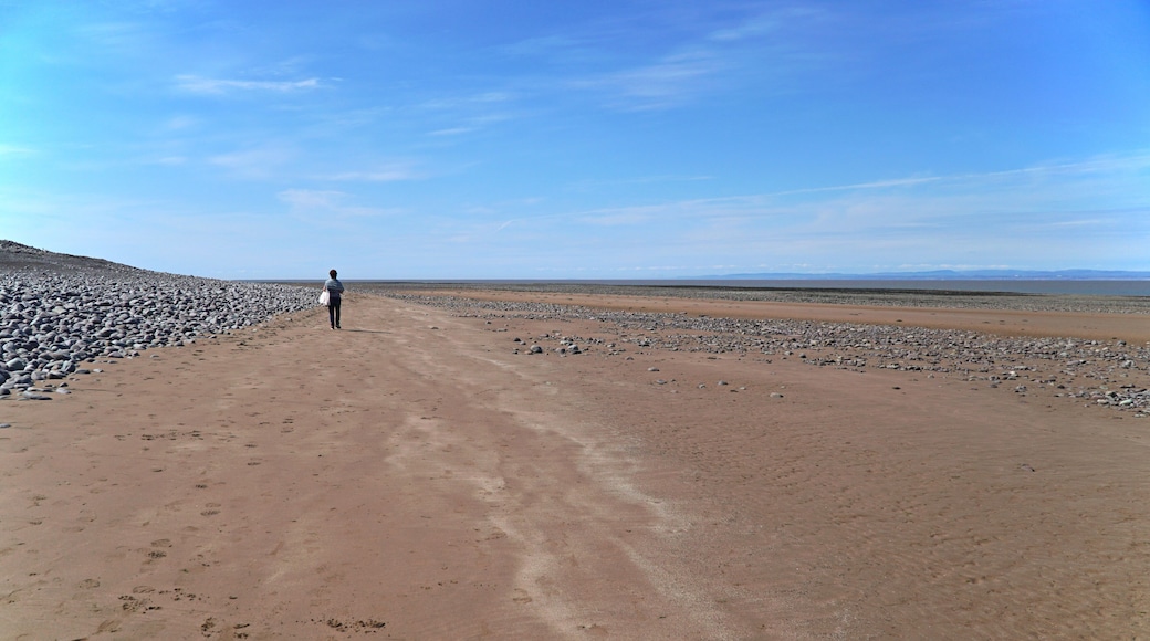 A vast desert landscape with a person walking on a dirt path.