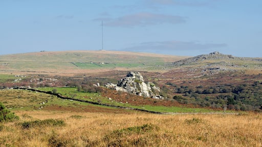View across the Walkham valley towards North Hessary Tor (with the mast). Vixen Tor is is in the foreground with King's Tor on the skyline to the right.