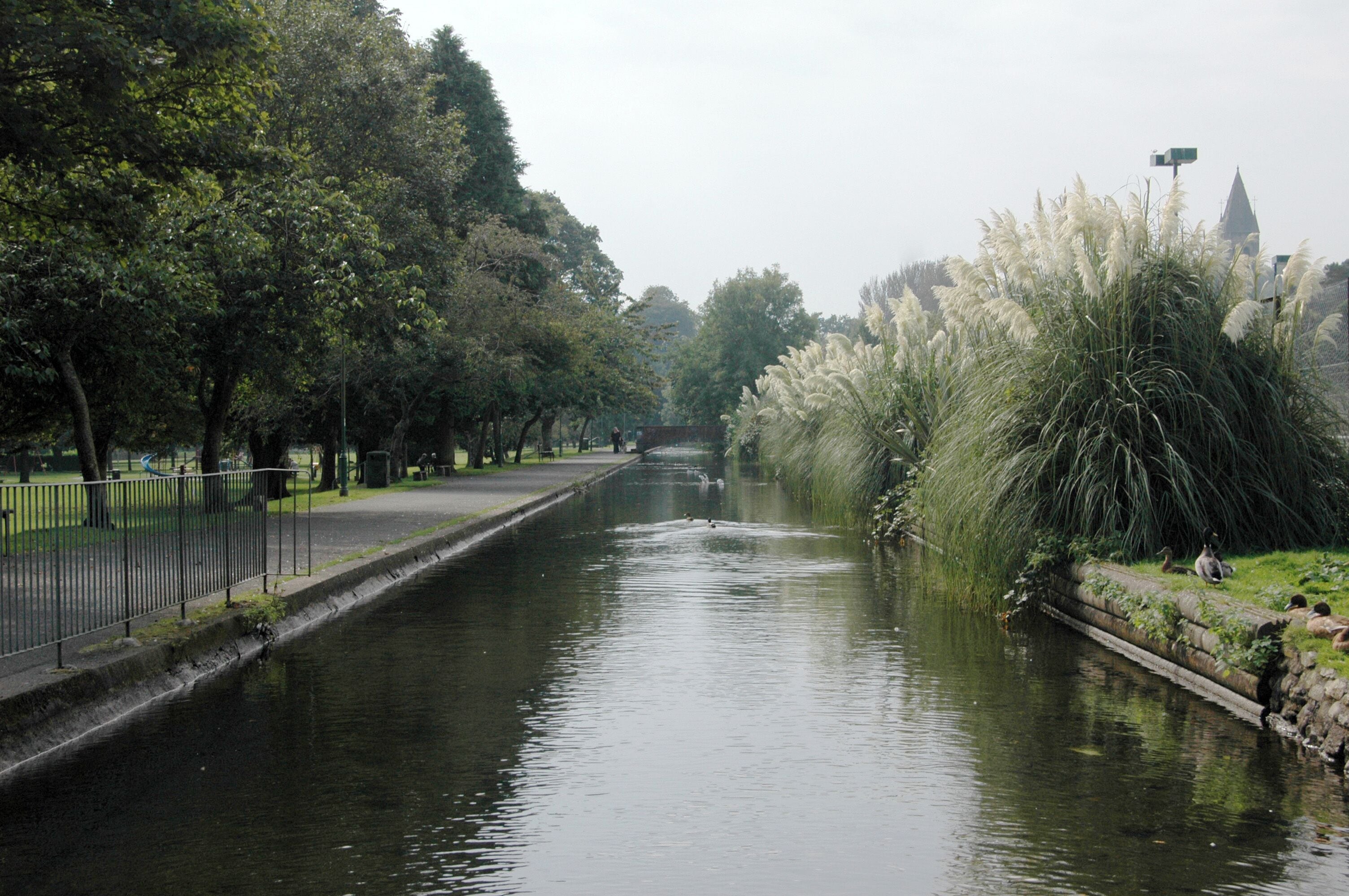 Un río tranquilo con un muro de piedra a la derecha, rodeado de árboles y pastos altos.