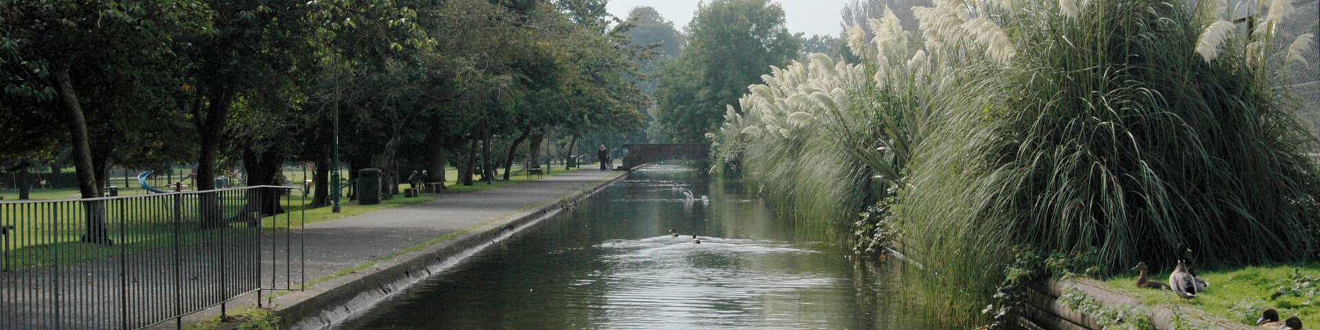 Un río tranquilo con un muro de piedra a la derecha, rodeado de árboles y pastos altos.