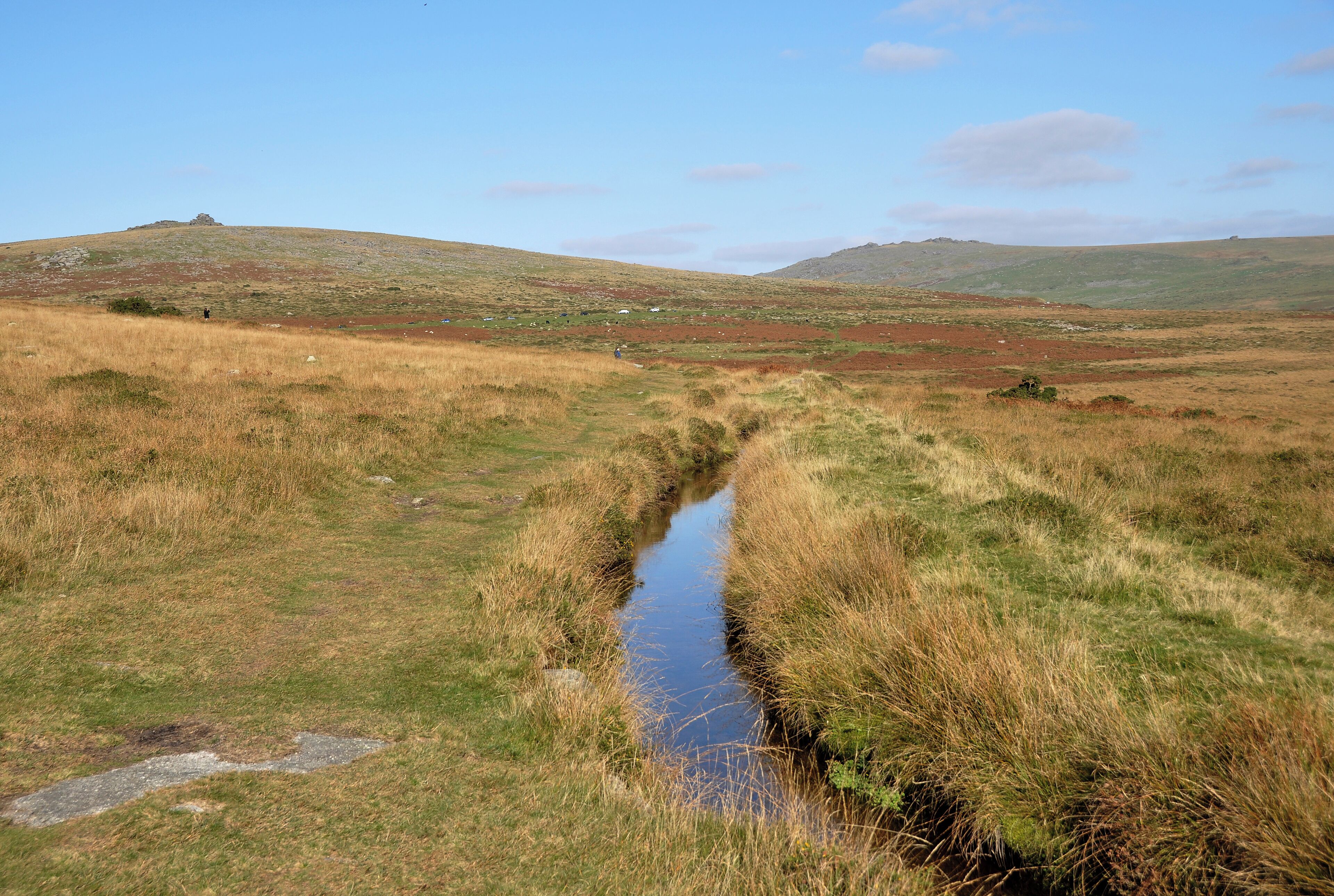 View along the Grimestone and Sortridge leat up the Walkham valley. Middle Staple Tor and Great Mis Tor are both visible on the skyline.