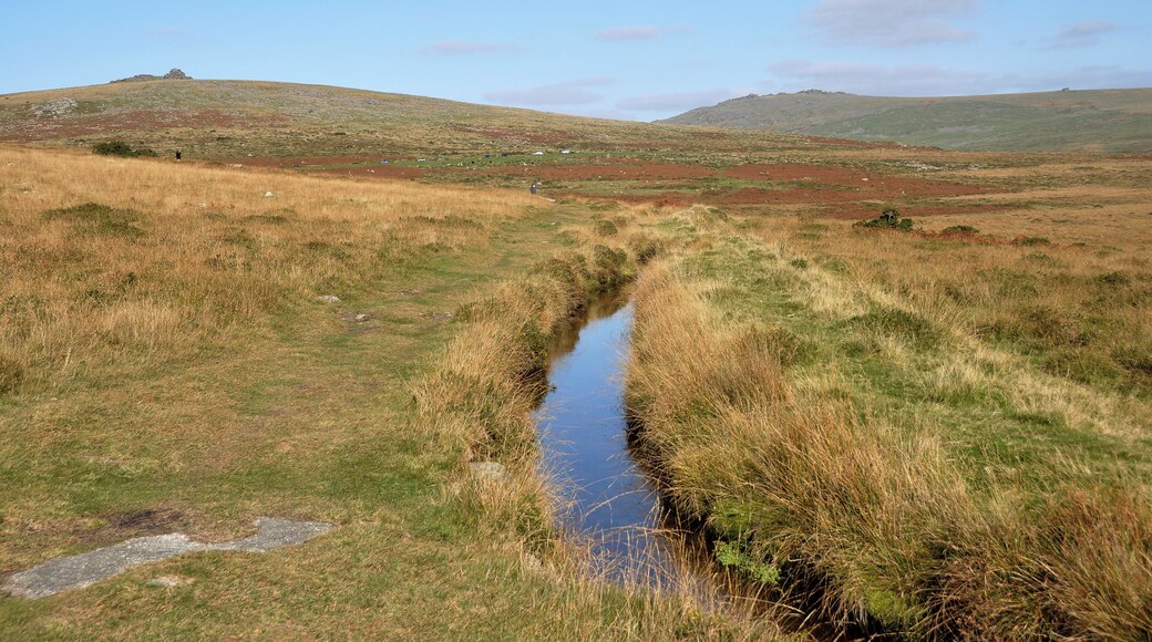 View along the Grimestone and Sortridge leat up the Walkham valley. Middle Staple Tor and Great Mis Tor are both visible on the skyline.