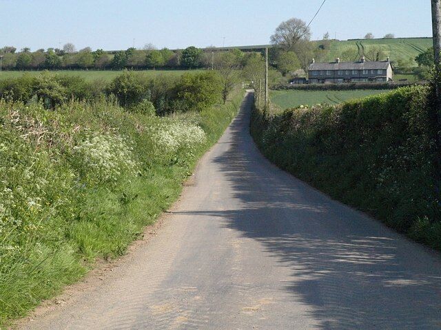 Lane to Leigh Cross A straight section of the lane from Horsebridge to Milton Abbot approaches the row of three cottages at Leigh Cross, which are in SX3977.
