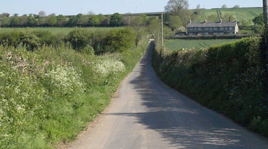 Lane to Leigh Cross A straight section of the lane from Horsebridge to Milton Abbot approaches the row of three cottages at Leigh Cross, which are in SX3977.