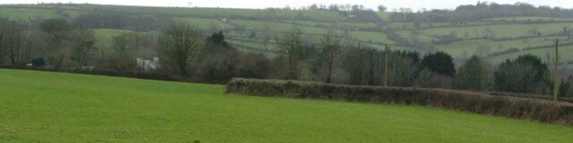 Pastures by Uppaton View west of the Quither junction, along the line of the public footpath.