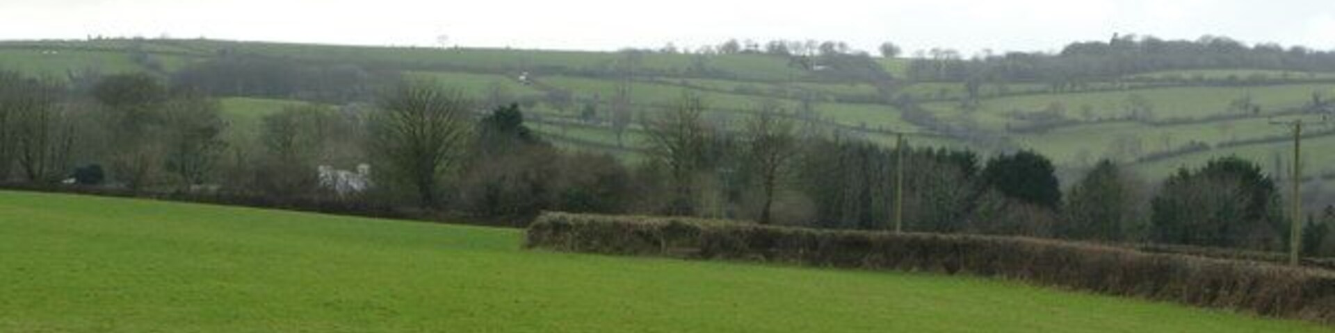 Pastures by Uppaton View west of the Quither junction, along the line of the public footpath.