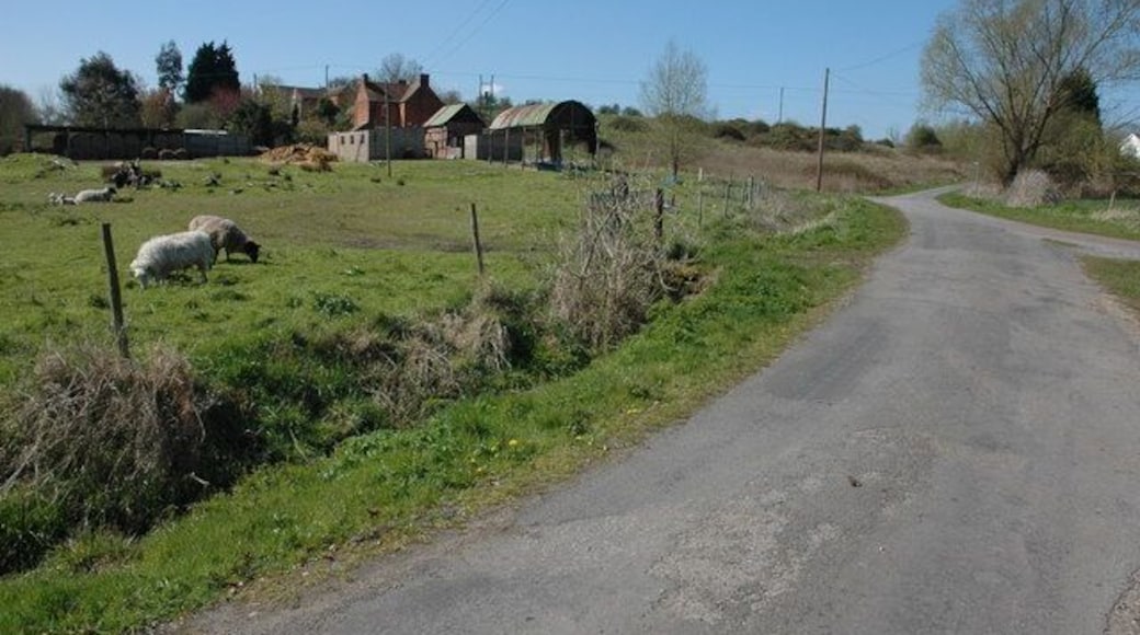 Road past Hillend Common, Twyning The farm on the left os Jubilee Farm. Hillend Common is the rough grazing land in the background.