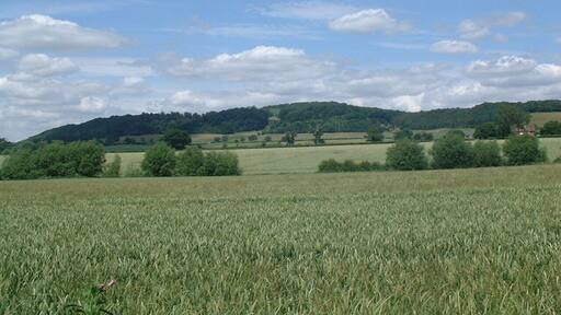 Dumbleton Hill as seen from Alderton