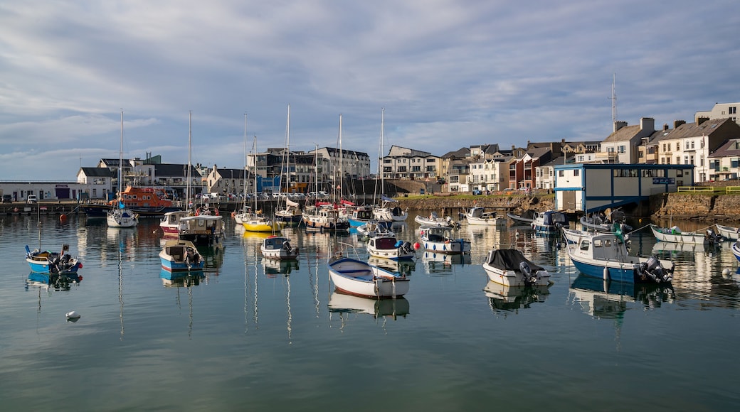 Portrush featuring a bay or harbor